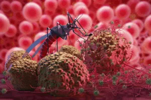 virus zika