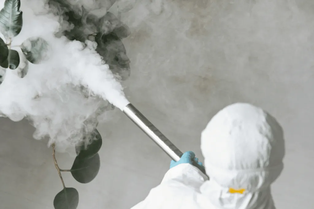 eliminare i tarli del legno fumigazione