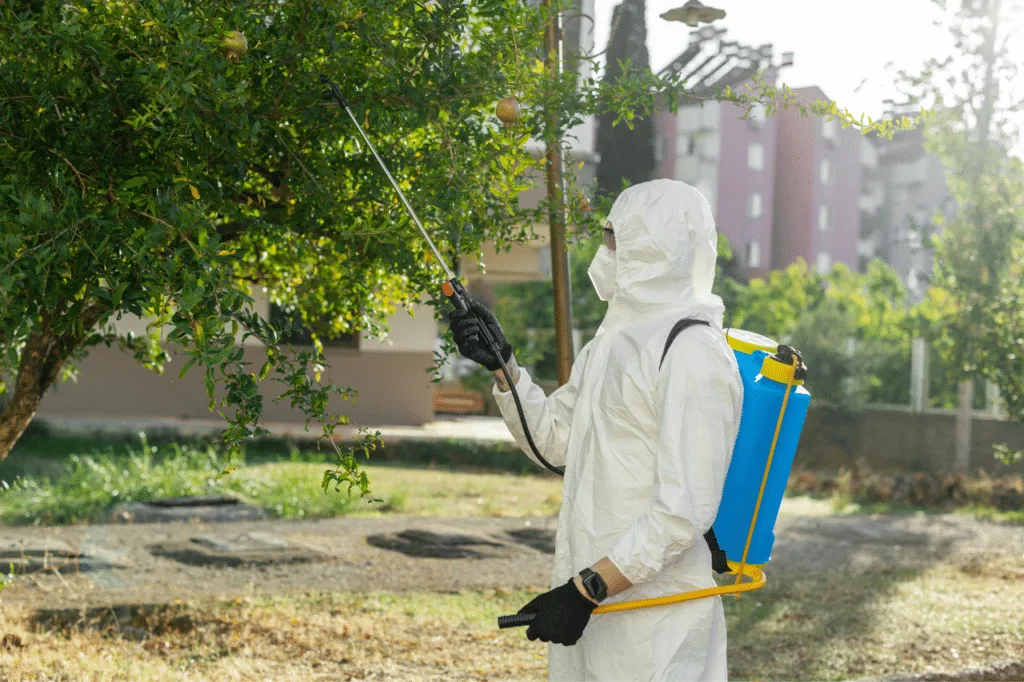 disinfestatore che esegue un intervento su un'area verde esterna
