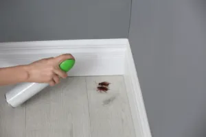 Come capire se c'è un nido di scarafaggi in casa? Come capire se c'è un nido di scarafaggi in casa?