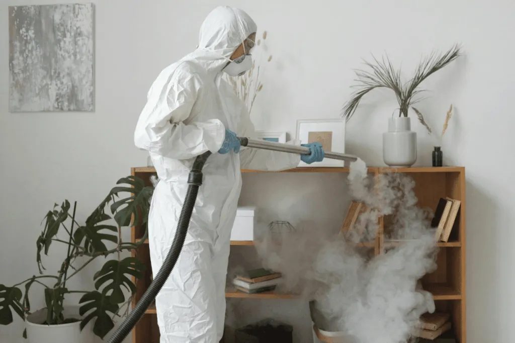 servizio fumigazione tarli Milano centro