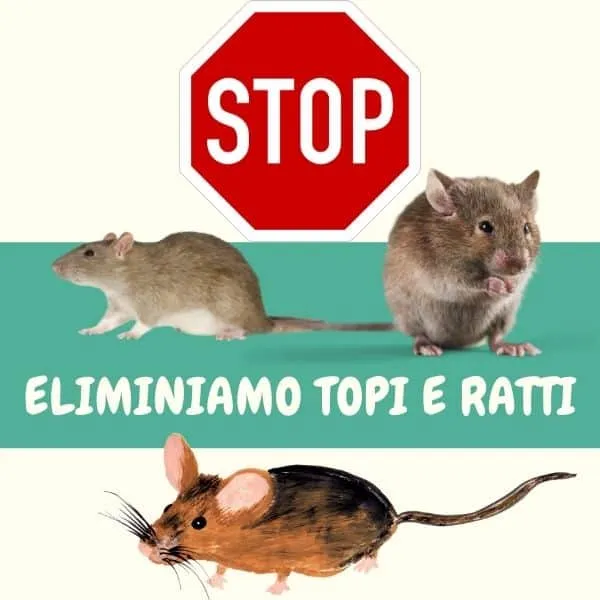 Eliminiamo i topi da MIlano