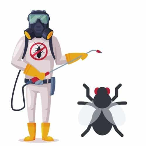 disinfestatore mosche a Milano