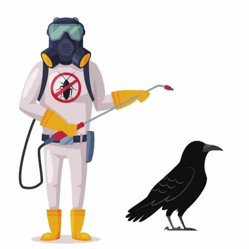 disinfestatore volatili a Milano