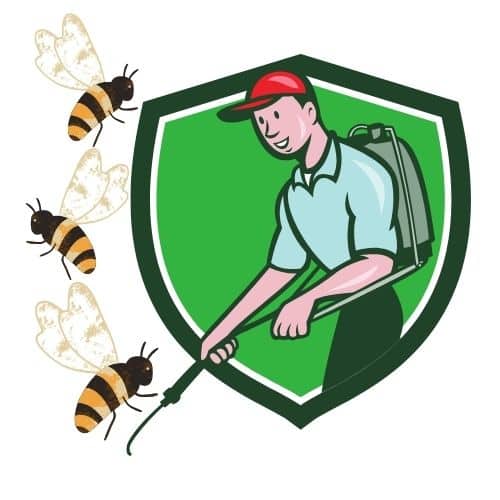 disinfestazione api milano