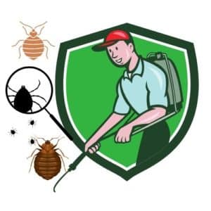 disinfestazione cimici milano