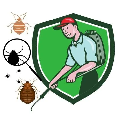 disinfestazione cimici milano
