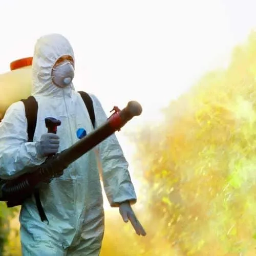 disinfestazione mosche esterno