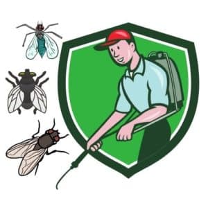 disinfestazione mosche milano