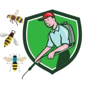 disinfestazione vespe milano