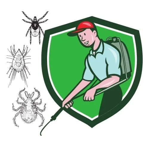 disinfestazione zecche milano