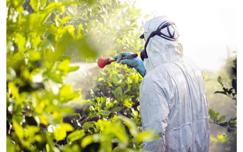effetti dei pesticidi sulla salute