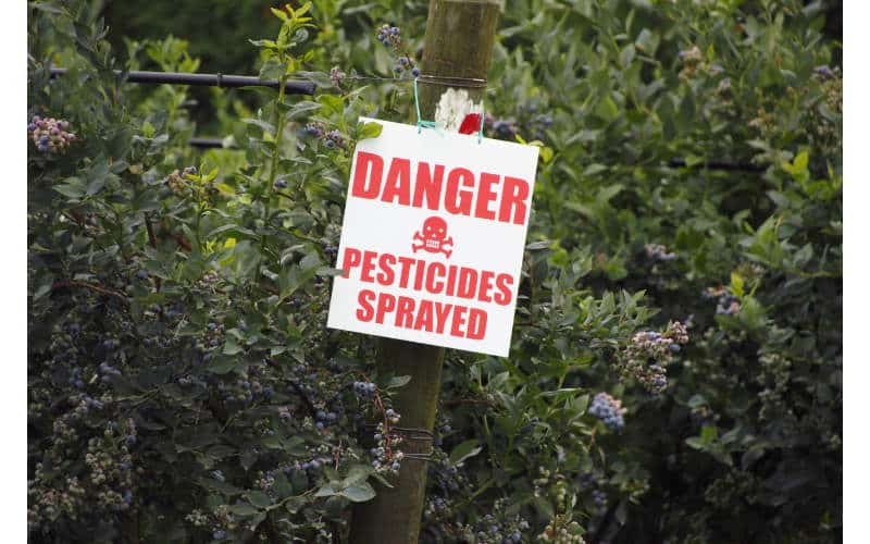 pesticidi e danni alla salute