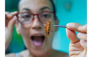 fobia degli scarafaggi