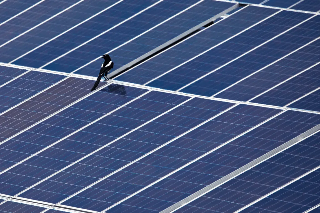 barriere anti piccioni per pannelli fotovoltaici