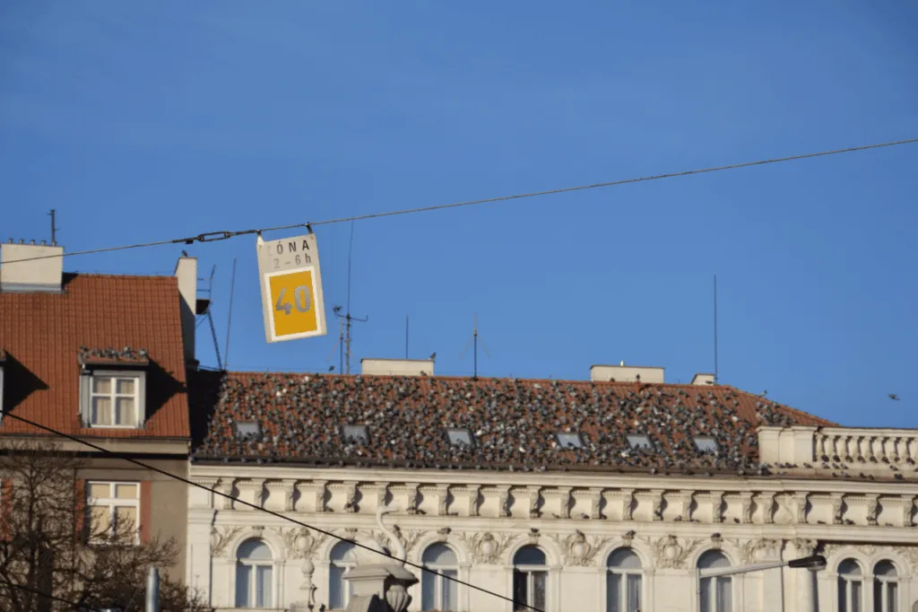 come allontanare i piccioni fai da te?