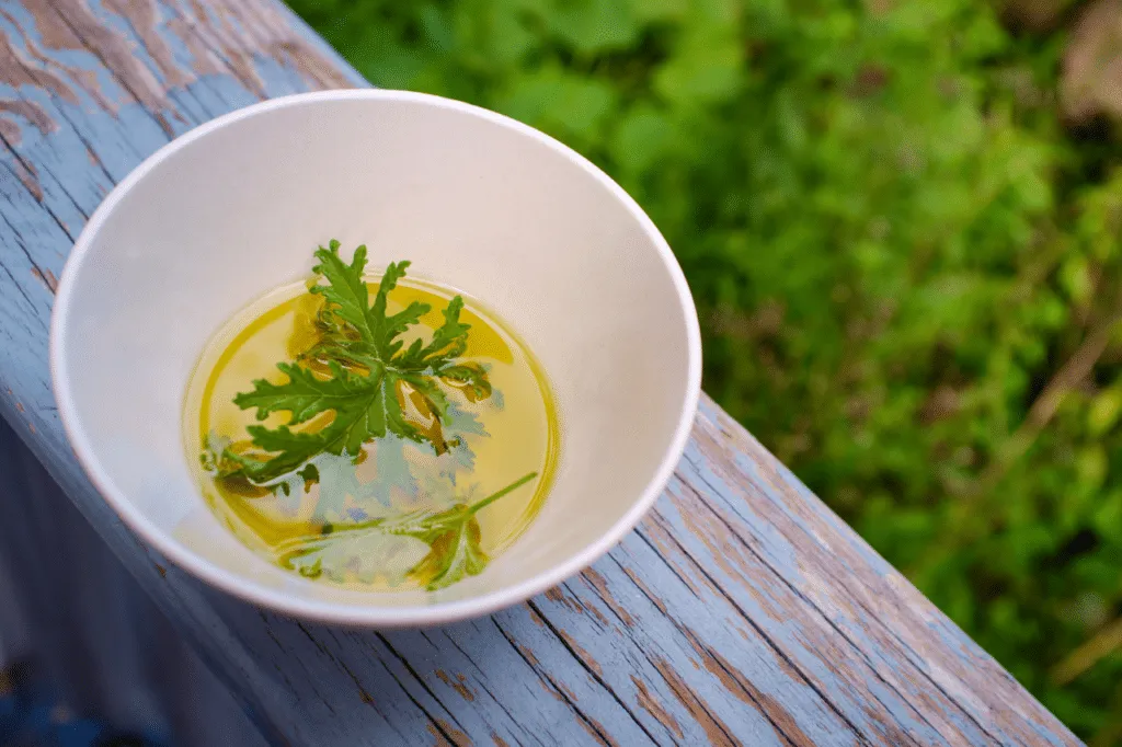 Una ciotolina di vetro con dell'olio e delle foglie di citronella