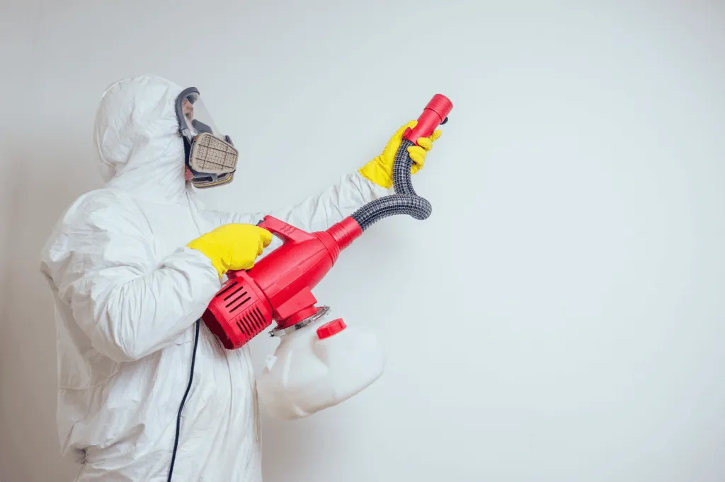disinfezione adulticida