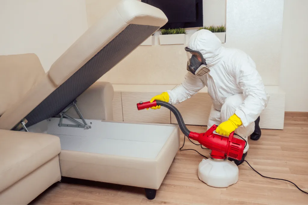 Un disinfestatore che effettua un intervento su un divano