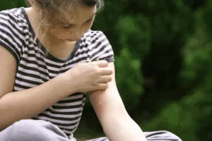 emergenza zanzare milano
