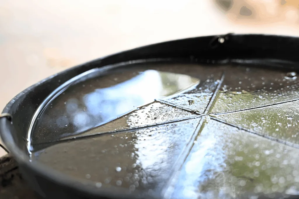 Vaso per le piante con del ristagno di acqua