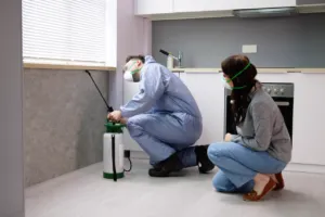 insetticidi per casa sono nocivi insetticidi per casa sono nocivi
