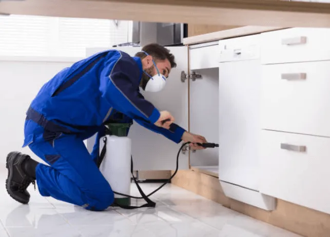 Disinfestatore che, con tuta blu e mascherina protettiva, spruzza il liquido per disinfestare l'intero di un mobile della cucina