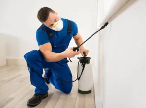 Un disinfestatore, con tuta blu e mascherina, mentre effettua una disinfestazione spruzzando del liquido sul battente della finestra con una pompa a spalla