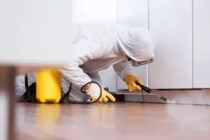 Un disinfestatore, che indossa guanti, tuta bianca e mascherina per proteggersi, mentre effettua una disinfestazione con un liquido nel battiscopa di una cucina