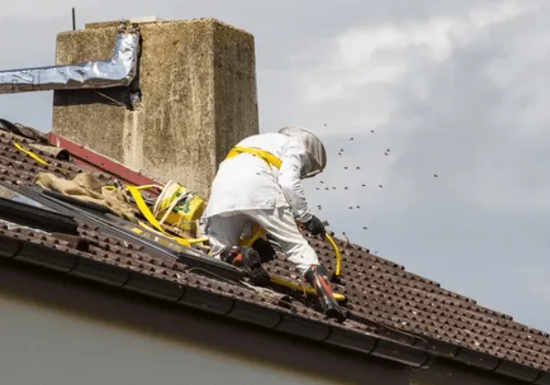 Un disinfestatore che esegue la disinfestazione sul tetto accuratamente protetto