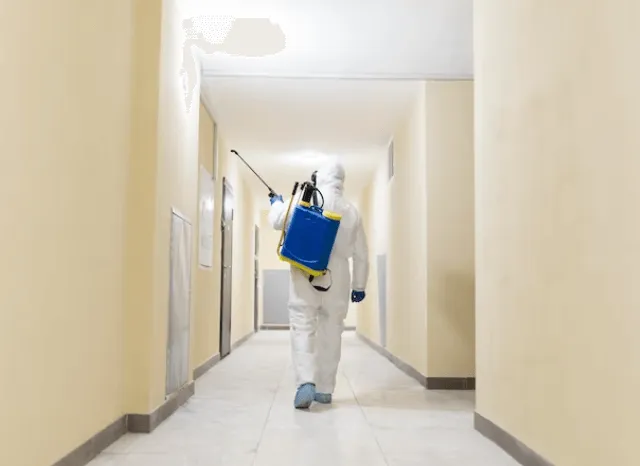 Un disinfestatore che effettua una disinfestazione nel corridoi di un hotel