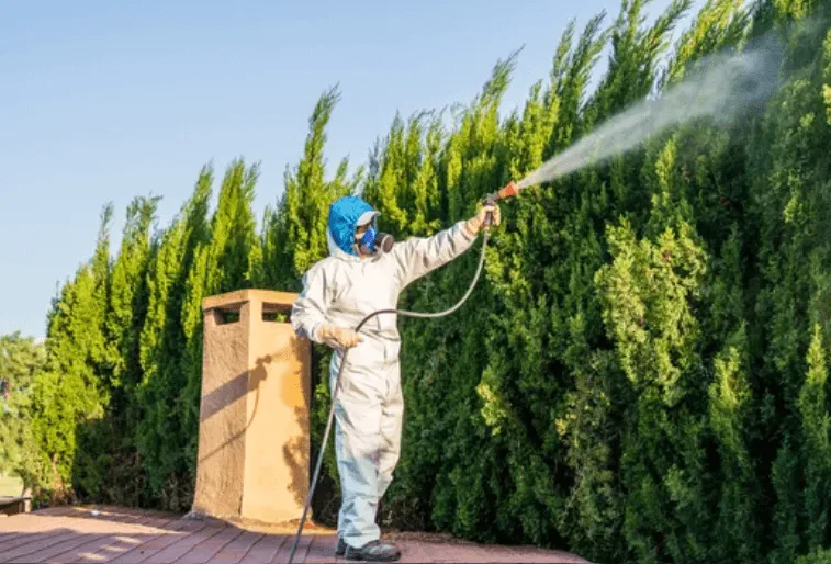Un disinfestatore che esegue un intervento su una siepe