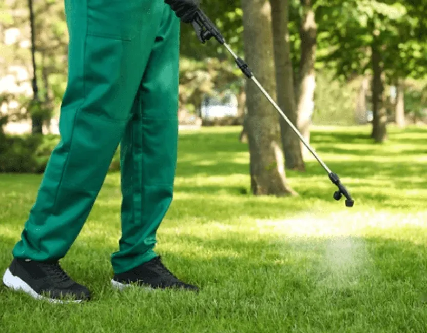 Un disinfestatore che esegue un intervento con il nebulizzatore in un giardino